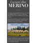 Merino Rise women's t-shirt made of merino wool